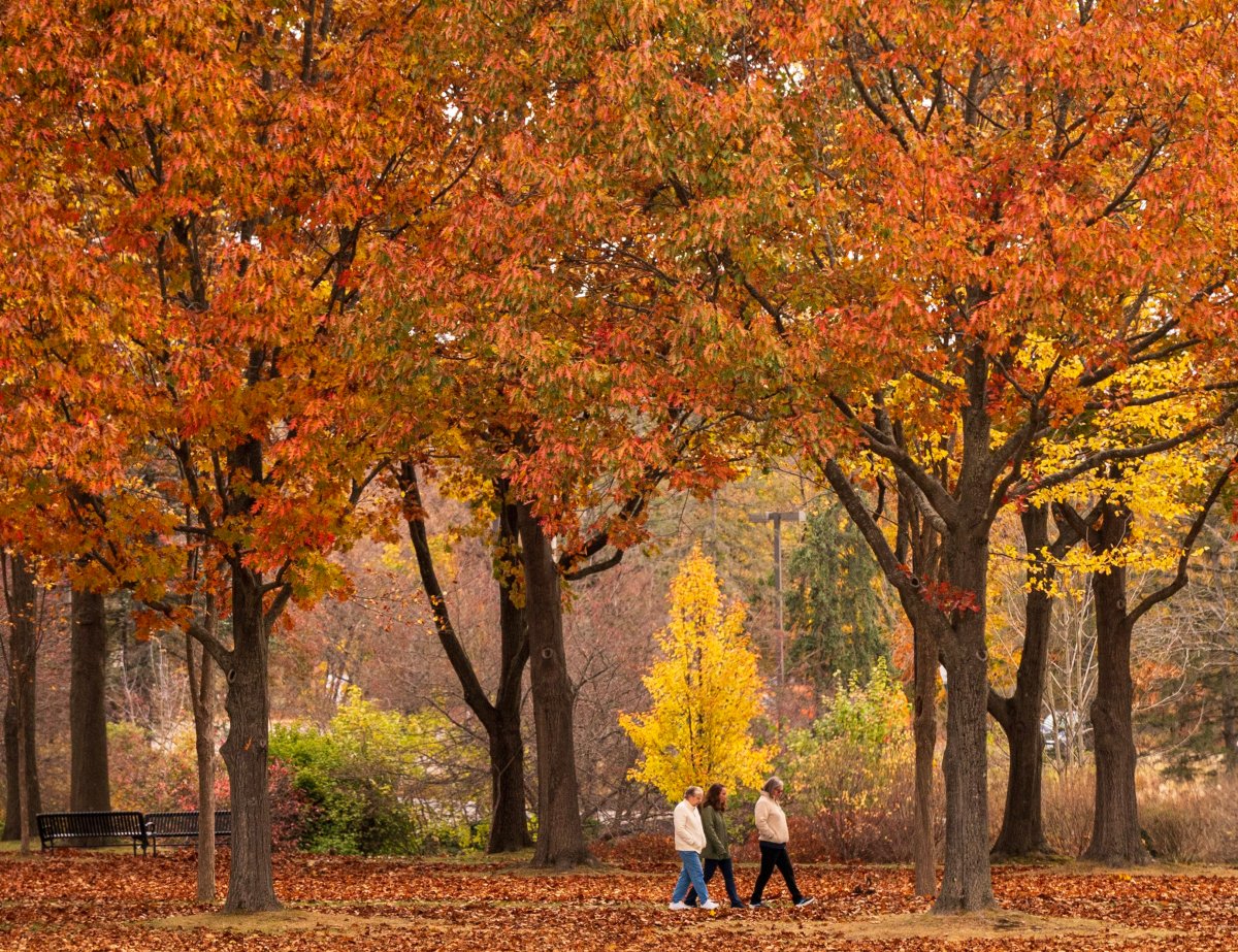 7 Maine foliage treks with an antique twist