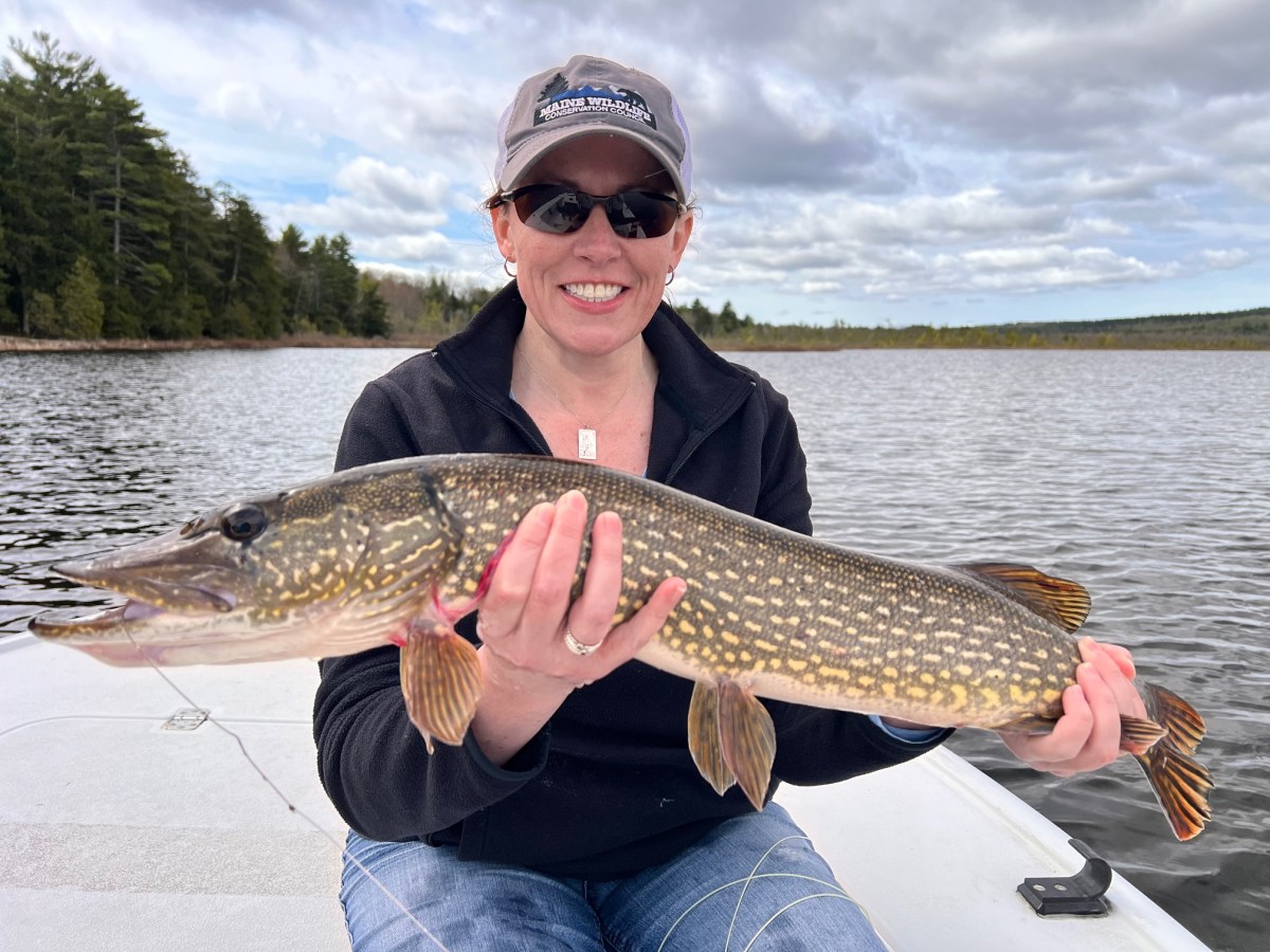 Fly fishing on Maine waters creates thrilling memories