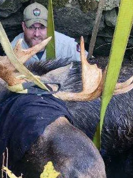 How Maine wildlife officials rescued a moose from a Washington County well